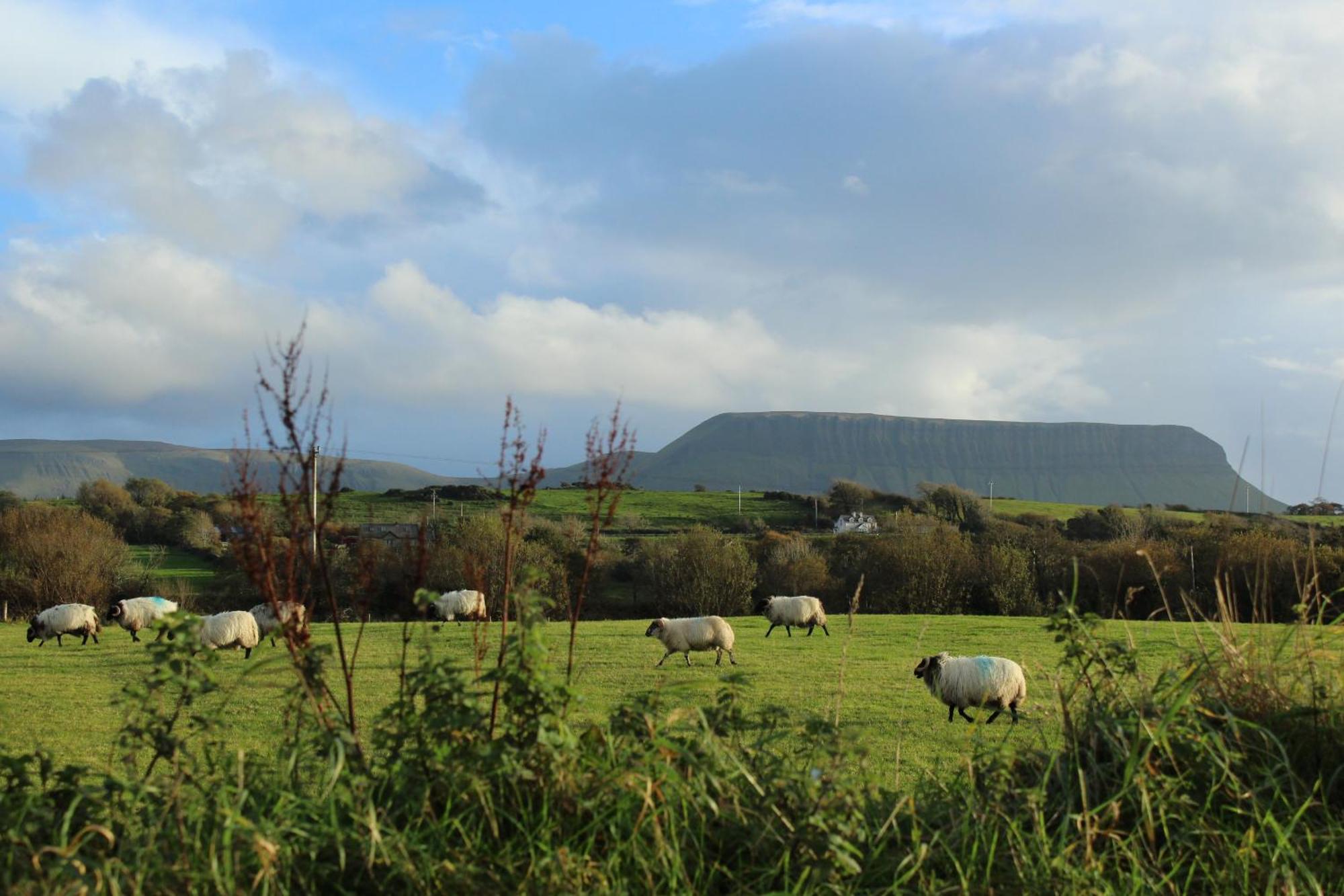 Armada Lodge Seashore Holiday Apartment Sligo Grange  Luaran gambar