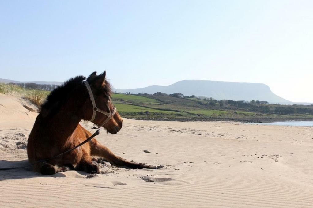 Armada Lodge Seashore Holiday Apartment Sligo Grange  Luaran gambar