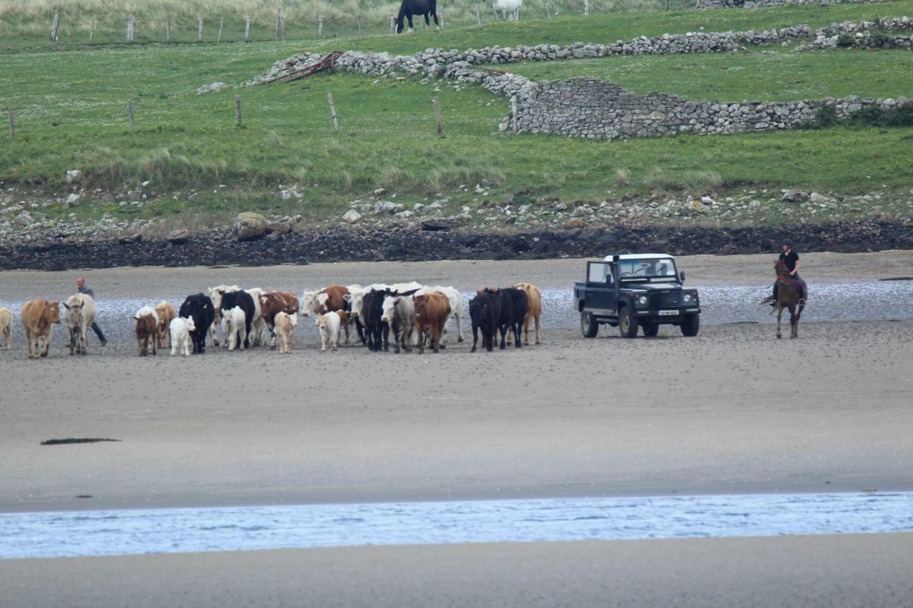 Armada Lodge Seashore Holiday Apartment Sligo Grange  Luaran gambar
